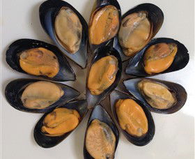 Advance Mussel Supply - Sydney Resort 3