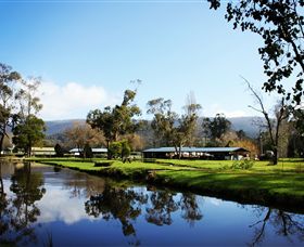 Buxton Trout & Salmon Farm - Accommodation Sydney 0