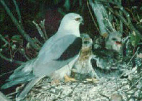 Bushy Park Wetlands - Sydney Resort 0