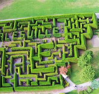 Hedgend Maze and Healesville Laser Sport - Accommodation Sydney