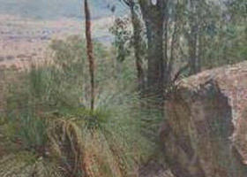 Burrowye VIC Sydney Resort