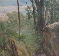 Mount Lawson State Park - Sydney Resort