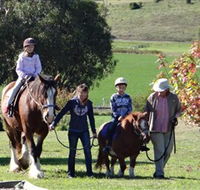 Bathurst Farm Experience - Accommodation Sydney