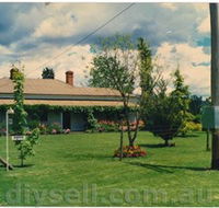 Tumut Valley Violets - Accommodation Sydney