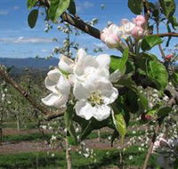 Mouat's Farm - Accommodation Sydney