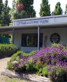 Crisp Galleries - Sydney Resort 0