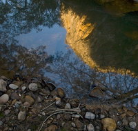 Abercrombie Karst Conservation Reserve - Accommodation Sydney