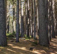 Sugarpine Walk - Accommodation Sydney