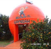 Gayndahs Big Orange - Sydney 4u