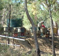 7 Oaks Sapphire Fossicking - Accommodation Sydney