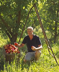 Mock Red Hill - Sydney Resort 1