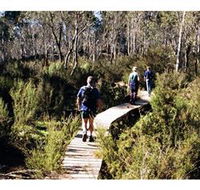 Hume and Hovell Walking Track - Henry Angel Trackhead - Accommodation Sydney