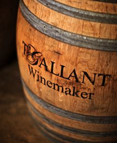 T'Gallant Winemakers - Accommodation Sydney 0