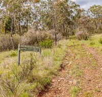 Old Mountain Road Walking Track - Accommodation Sydney