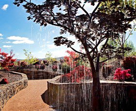 The Water Garden At Mayfield Garden - Sydney 4u 2