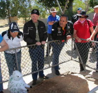 Fossil Rock - Accommodation Sydney