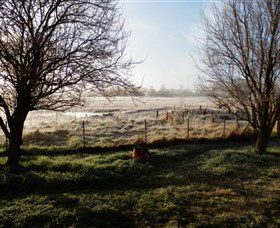 Jannei Artisan Cheese Makers - Accommodation Sydney 2