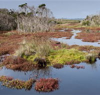 French Island National Park - Sydney 4u
