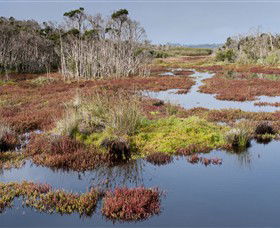 French Island National Park - Sydney 4u 0