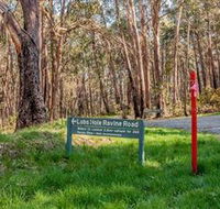 Lobs Hole Ravine 4WD Trail - Accommodation Sydney