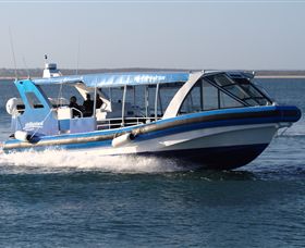 Phillip Island Nature Parks - Accommodation Sydney 2