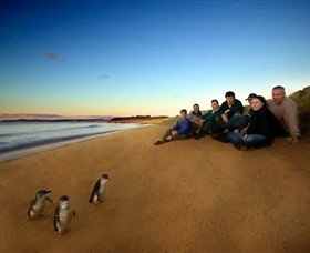 Phillip Island Nature Parks - Accommodation Sydney 7