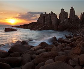 Phillip Island Nature Parks - Accommodation Sydney 6