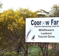 Coorow Farm Wildflower Trail - Sydney Resort
