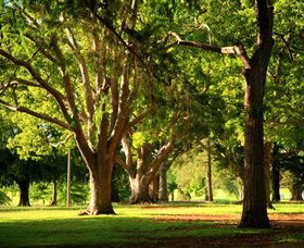 Queens Park, Toowoomba - Accommodation Sydney 1