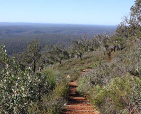 Mount Dale Walk Trail - Accommodation Sydney 0