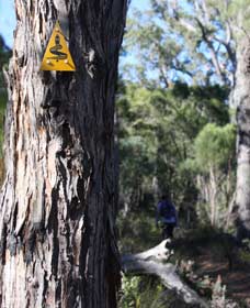Mount Dale Walk Trail - Accommodation Sydney 1