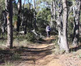 Mount Dale Walk Trail - Accommodation Sydney 2