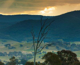Strathnairn Arts - Sydney 4u 0