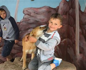 Maru Koala And Animal Park - Sydney 4u 3