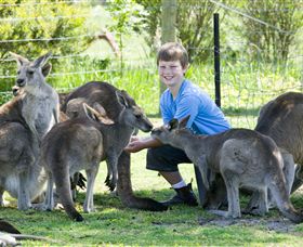 Maru Koala And Animal Park - Sydney 4u 4