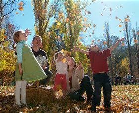 Cotter Avenue Recreation Area - Sydney 4u 0