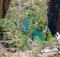 Carlotta Arch walking track - Sydney 4u