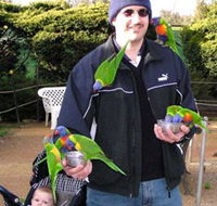 Canberra Walk In Aviary - Accommodation Sydney