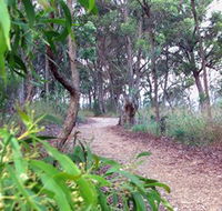 Mount Mutton Walking Trail - Accommodation Sydney