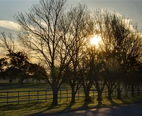 Inland Waters Holiday Parks Lake Glenbawn - Sydney Resort 4