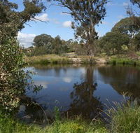 Cooleman Ridge - Accommodation Sydney