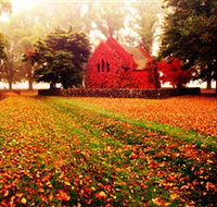 Gostwyck Chapel - Accommodation Sydney