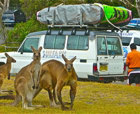 Surfaris Surf Camp - Sydney 4u 3