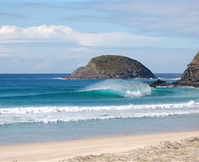 Surfaris Surf Camp - Sydney 4u 4