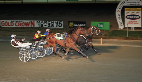 Bathurst Harness Racing Club - Sydney Resort 3