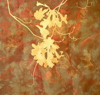 Fellia Melas Gallery - Accommodation Sydney