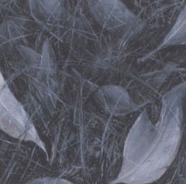 Gallery 110 Crystal - Accommodation Sydney 1