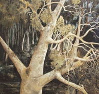 Ku-Ring-Gai Art Centre  Gallery - Sydney 4u
