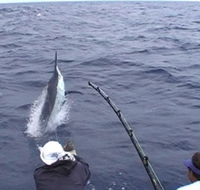Amokura Charters - Accommodation Sydney