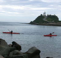 Newcastle Kayak Tours - Accommodation Sydney